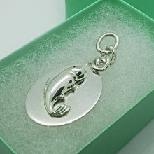 Load image into Gallery viewer, Sterling Silver Fish Oval Tag Key Ring Pendant 1 3/4 inches Long High Quality