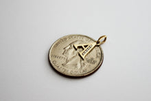 Load image into Gallery viewer, 14K Yellow Gold Initial Pendant Rolo Chain Earrings Set with CZ