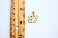 10K Yellow Gold Diamond Cut Two-Digit Number Pendant